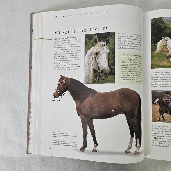 Horse Breeds & Horse Care: The Ultimate Encyclopedia by Judith Draper - Picture 6 of 8